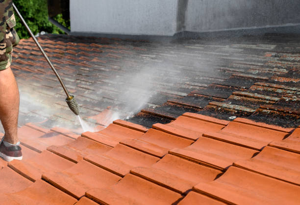 Best Exterior Home Cleaning  in Mikes, TX